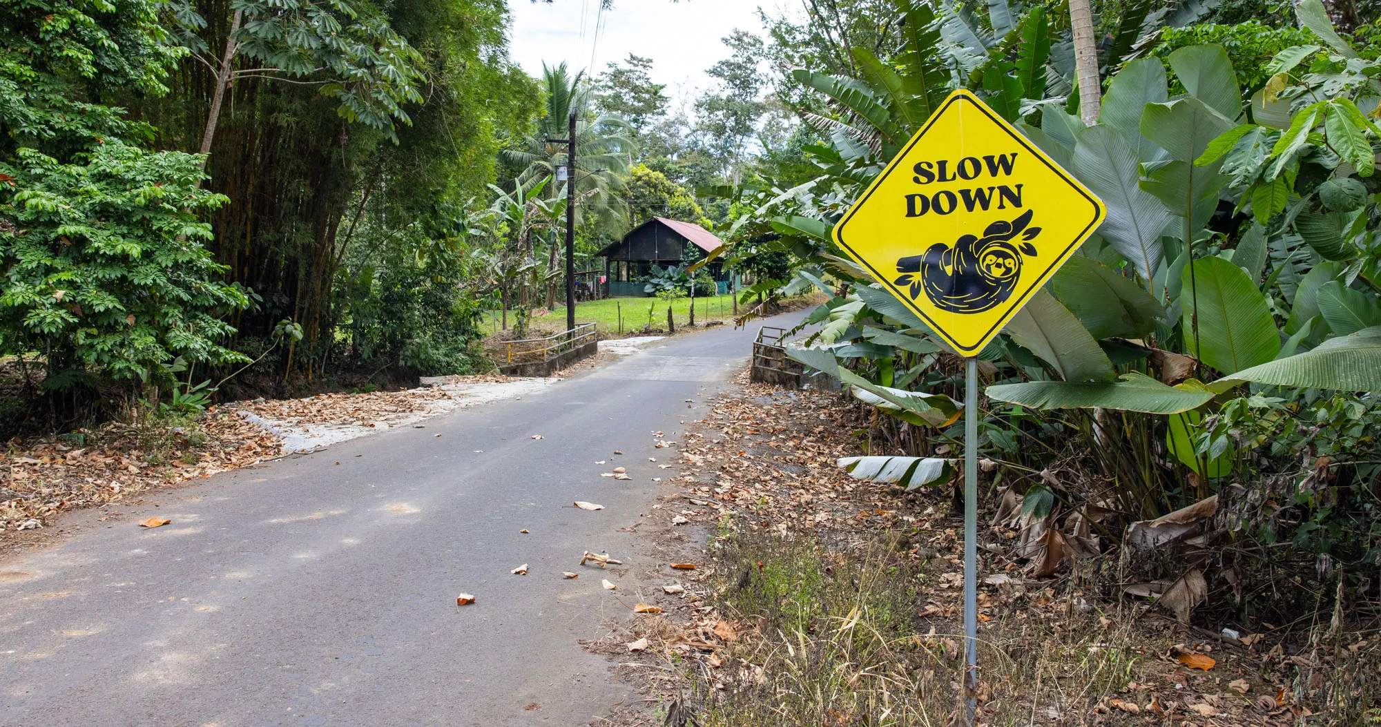 Costa Rica Travel Tips Guide