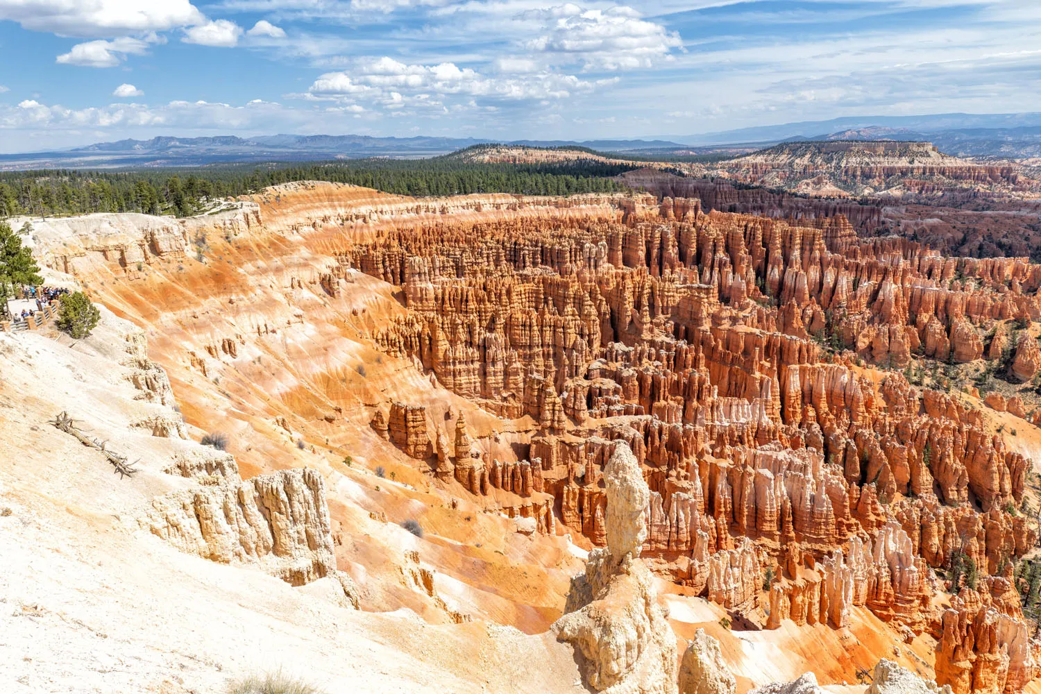 Middle Inspiration Point