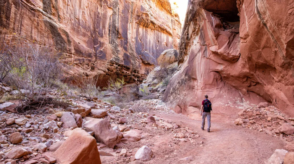 One Day in Capitol Reef Hikes